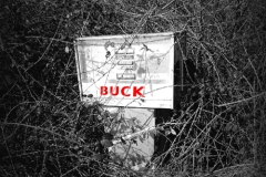 pochette_buck
